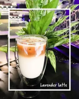 Coffeelat Глобус Coffeelat Глобус